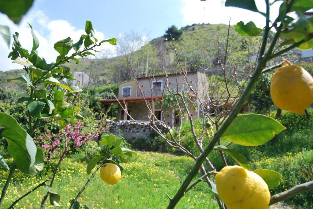 Al Melograno B&B Belmonte Calabro Pokoj fotografie