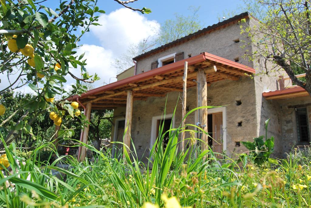 Al Melograno B&B Belmonte Calabro Exteriér fotografie