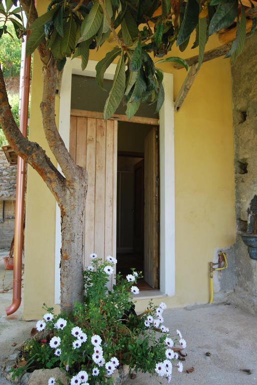 Al Melograno B&B Belmonte Calabro Exteriér fotografie