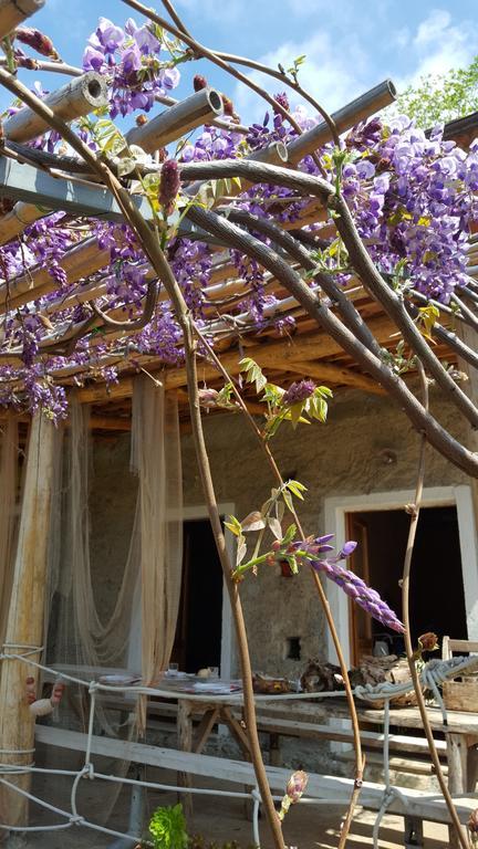 Al Melograno B&B Belmonte Calabro Exteriér fotografie